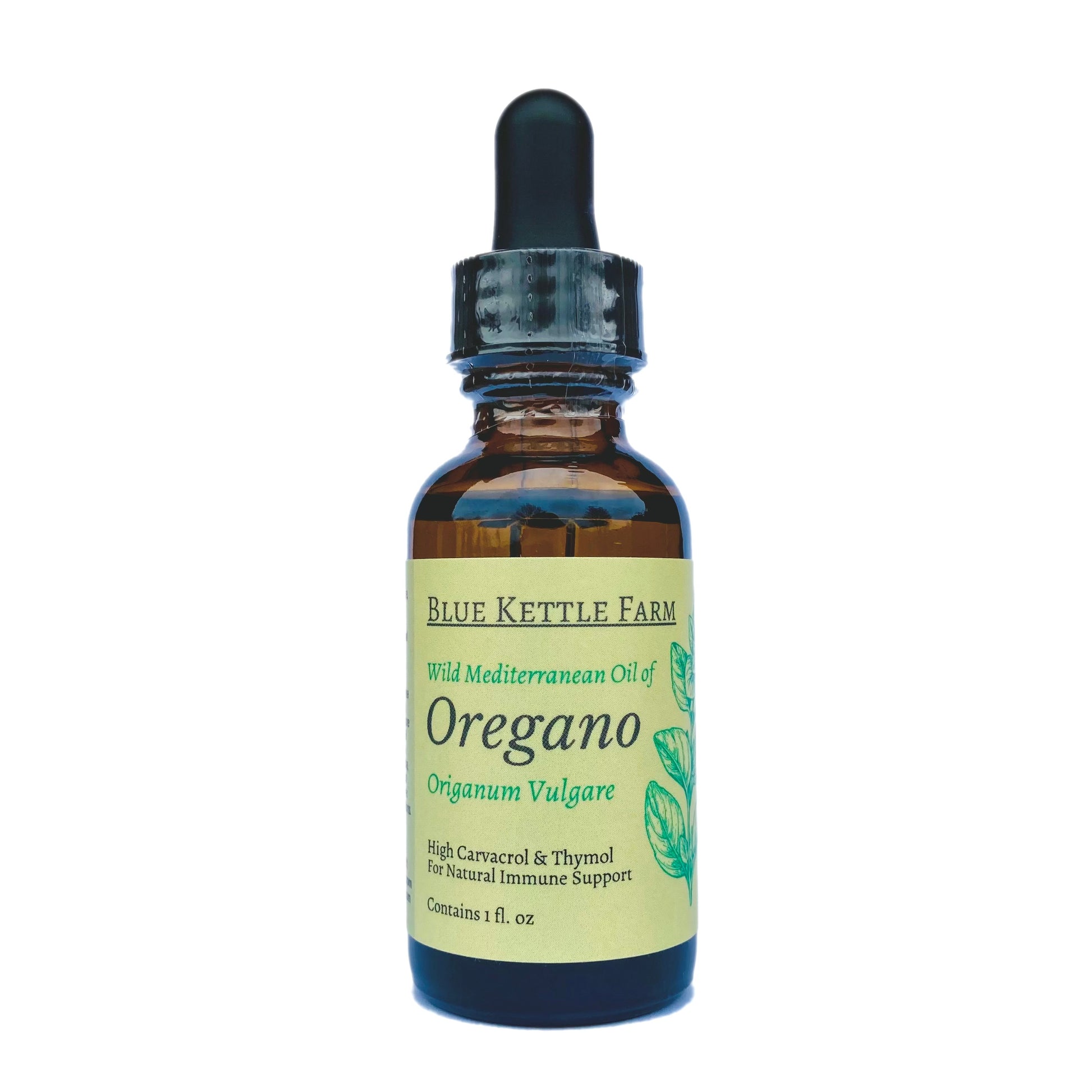 Origanum Vulgare - Blue Kettle Farm